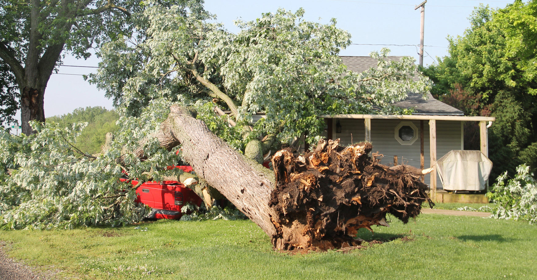 Storm damage in Circleville